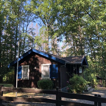 Waldhaus Мёнезе Экстерьер фото
